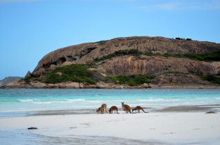 Residents of Lucky Bay